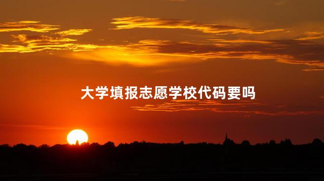 大学填报志愿学校代码要吗