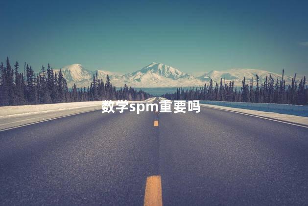 数学spm重要吗