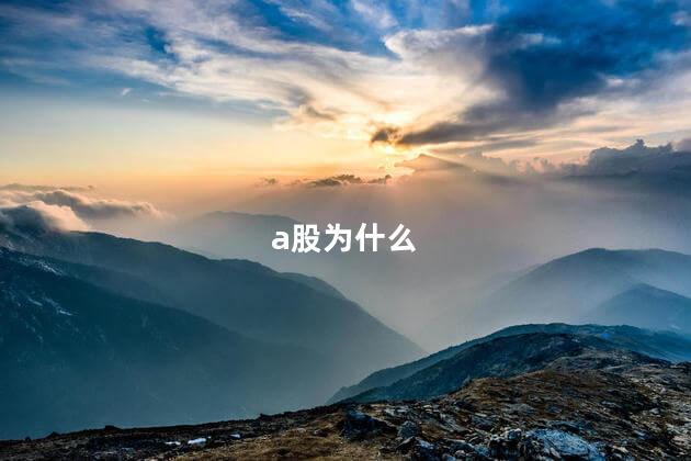 a股为什么
