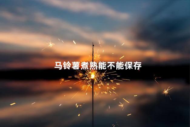 马铃薯煮熟能不能保存