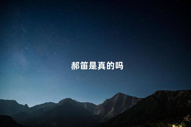 郝笛是真的吗
