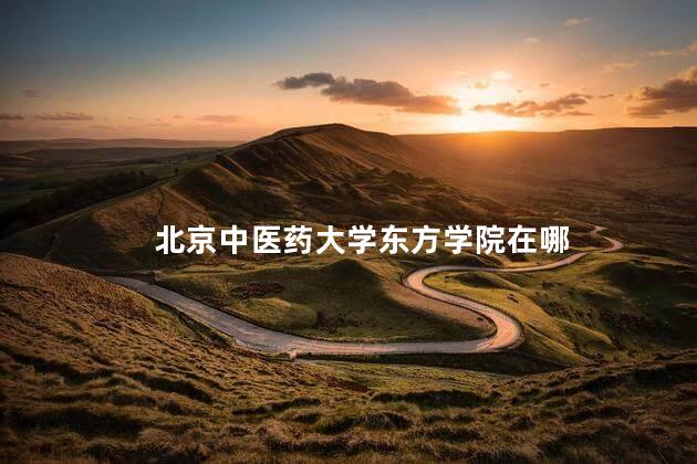 北京中医药大学东方学院在哪