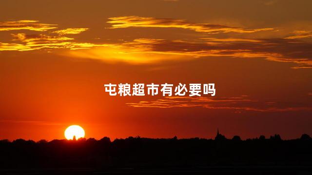 屯粮超市有必要吗