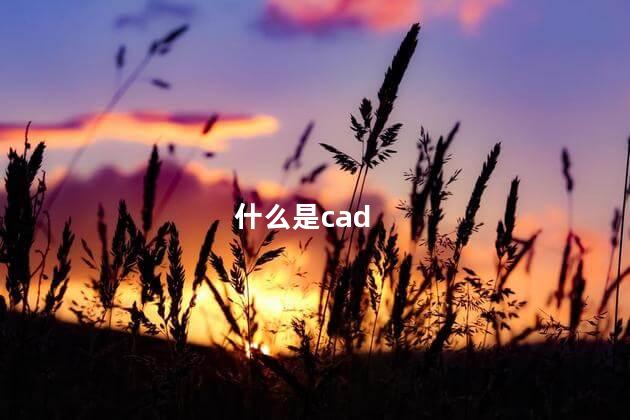 什么是cad