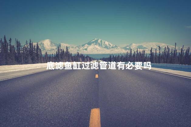 底滤鱼缸过滤管道有必要吗