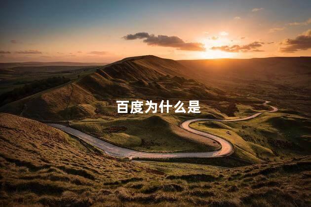 百度为什么是