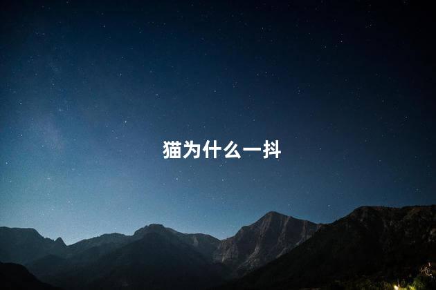 猫为什么一抖