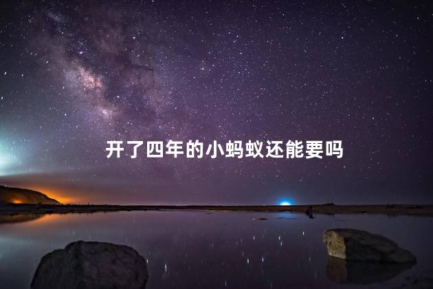 开了四年的小蚂蚁还能要吗