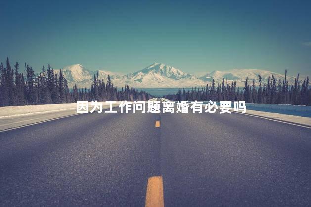 因为工作问题离婚有必要吗