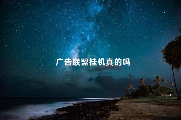 广告联盟挂机真的吗