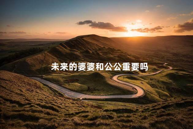 未来的婆婆和公公重要吗