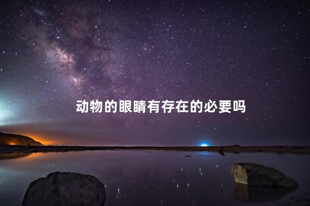 动物的眼睛有存在的必要吗