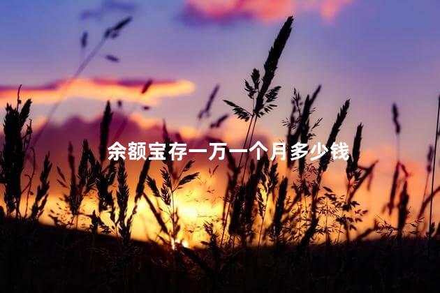 余额宝存一万一个月多少钱