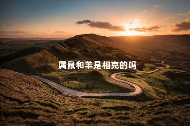 属鼠和羊是相克的吗