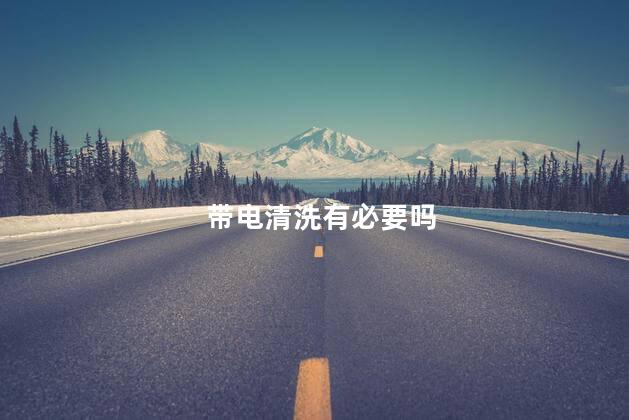 带电清洗有必要吗