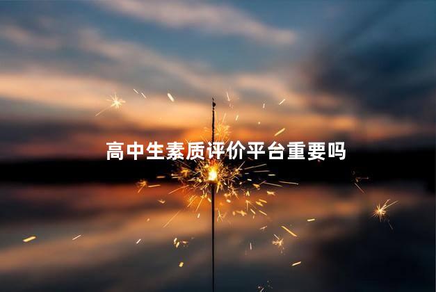 高中生素质评价平台重要吗