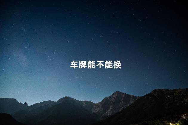 车牌能不能换