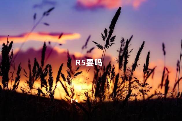 R5要吗