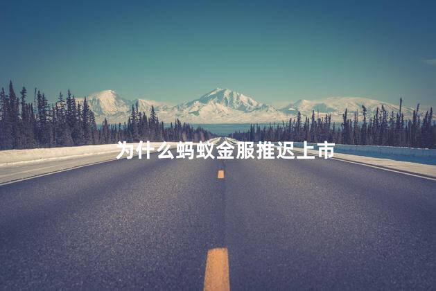 为什么蚂蚁金服推迟上市