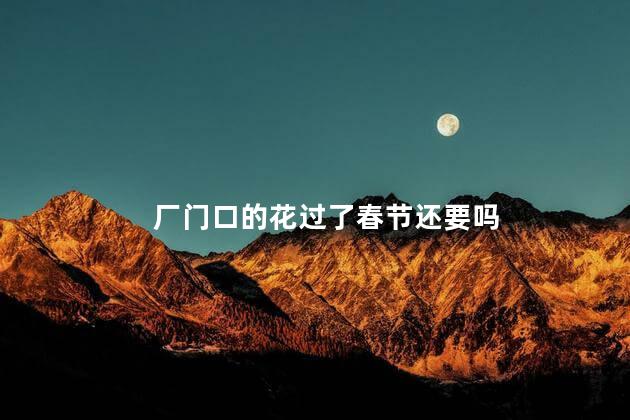 厂门口的花过了春节还要吗