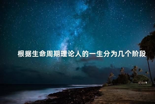 根据生命周期理论人的一生分为几个阶段
