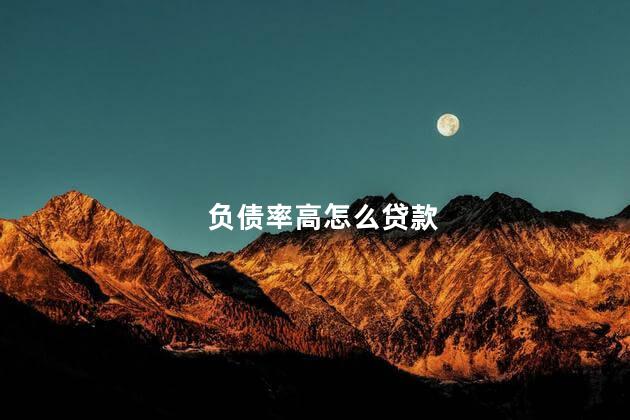 负债率高怎么贷款