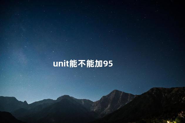unit能不能加95