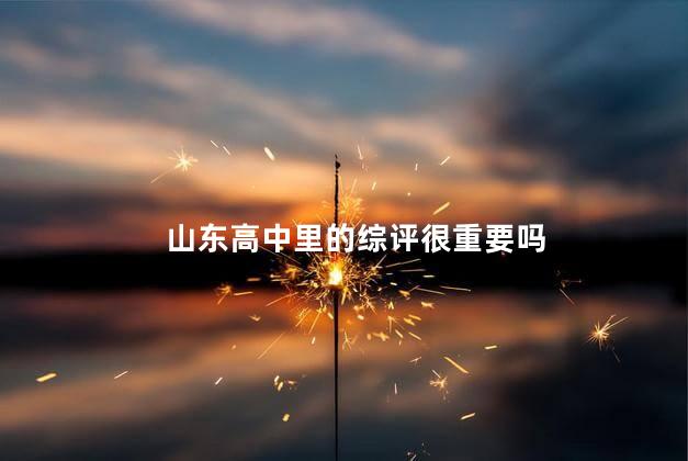 山东高中里的综评很重要吗