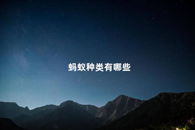 蚂蚁种类有哪些