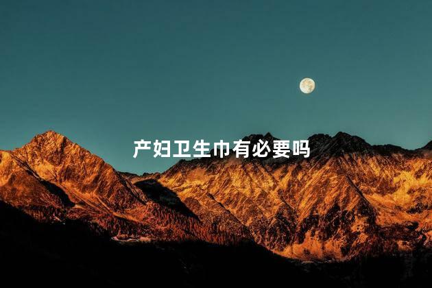 产妇卫生巾有必要吗