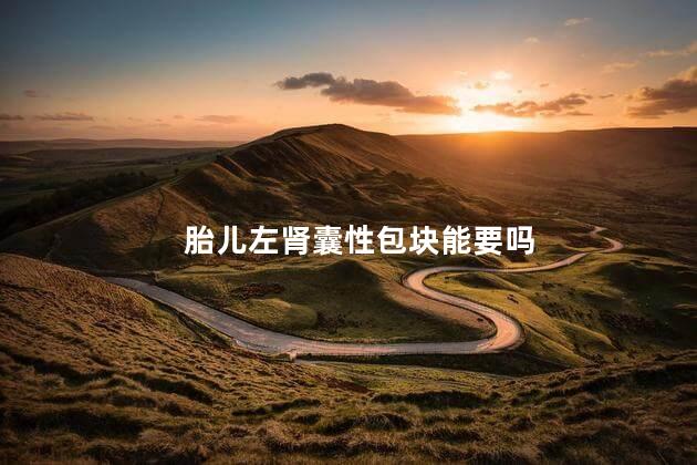胎儿左肾囊性包块能要吗
