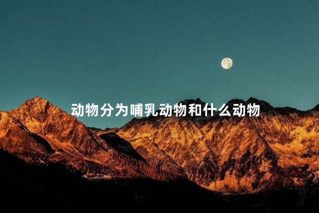 动物分为哺乳动物和什么动物