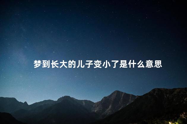 梦到长大的儿子变小了是什么意思