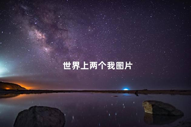 世界上两个我图片
