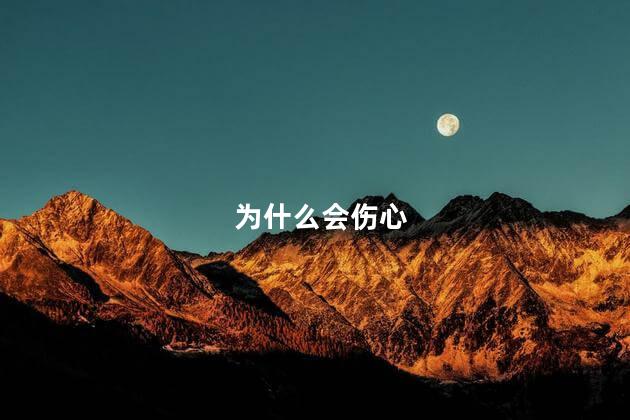 为什么会伤心