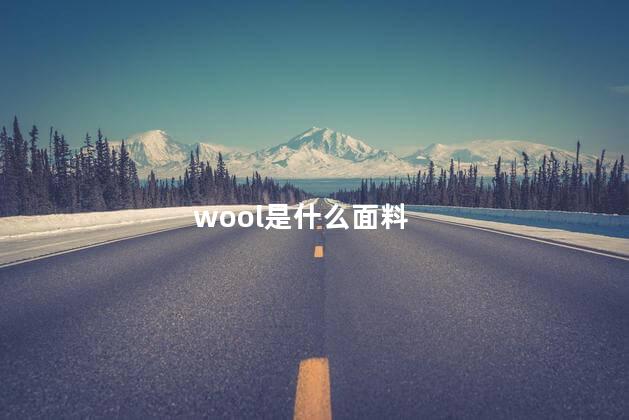 wool是什么面料