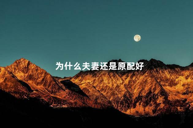 为什么夫妻还是原配好