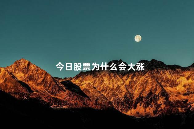 今日股票为什么会大涨