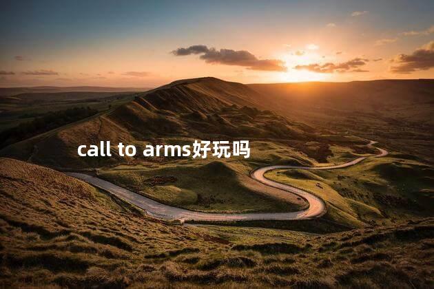 call to arms好玩吗