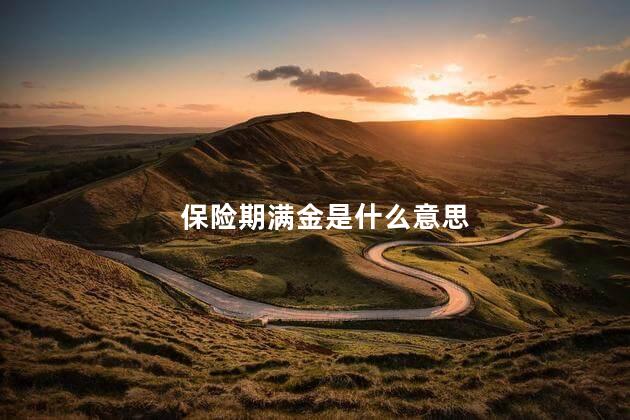 保险期满金是什么意思