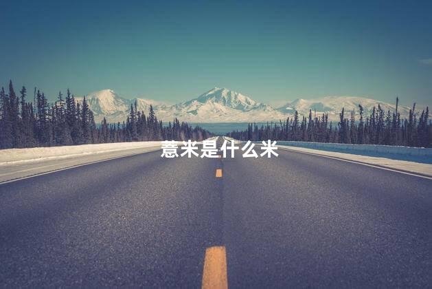 薏米是什么米