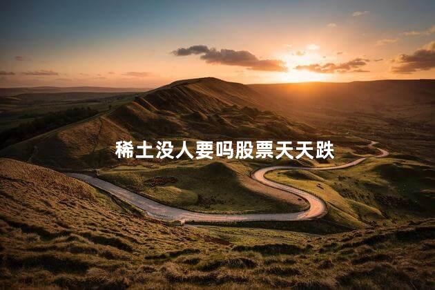 稀土没人要吗股票天天跌