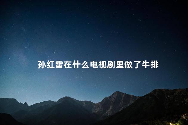 孙红雷在什么电视剧里做了牛排