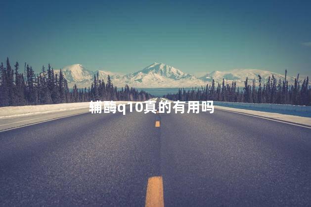 辅酶q10真的有用吗