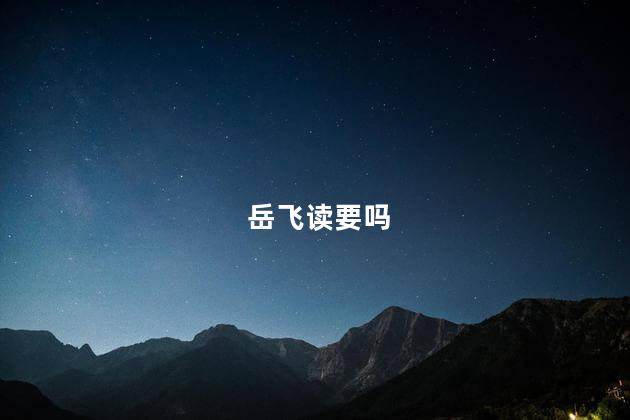 岳飞读要吗
