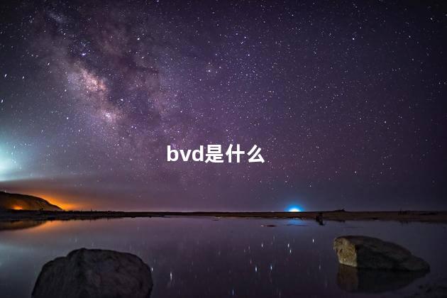 bvd是什么