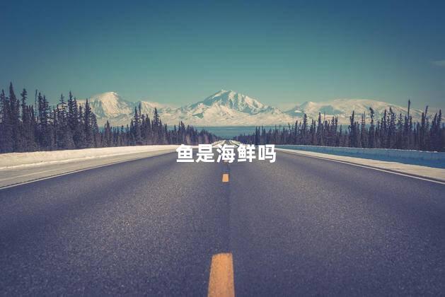 鱼是海鲜吗