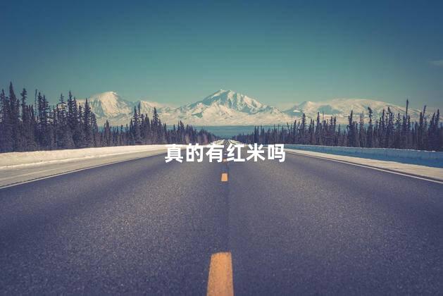 真的有红米吗