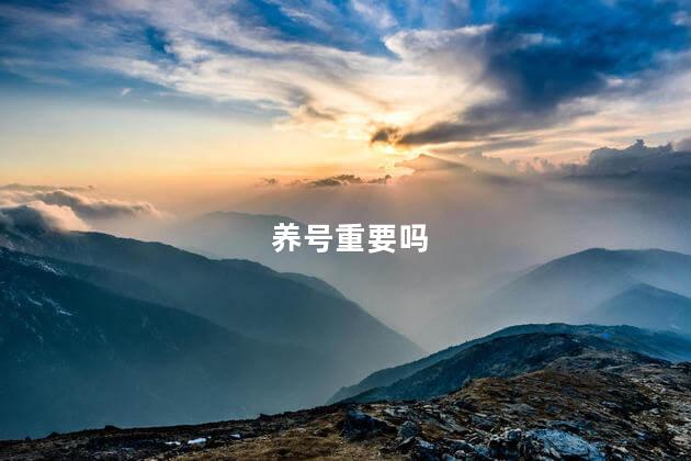 养号重要吗