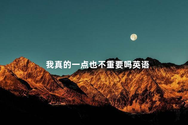 我真的一点也不重要吗英语